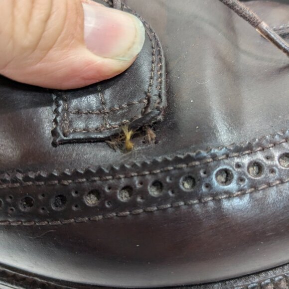Alden‎ 975 Shell Cordovan Leather Men\'s sz 11.5 B/D Long Wing Blucher Shoes READ main image 13